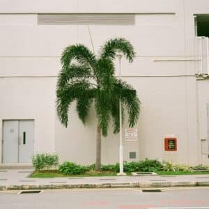 Photo Gym Ocoee Florida