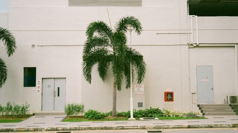 Photo Gym Ocoee Florida