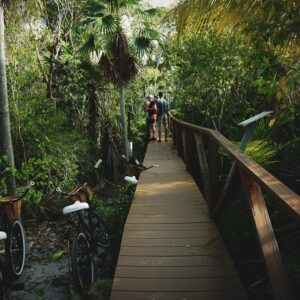 Photo Gym Aventura Florida