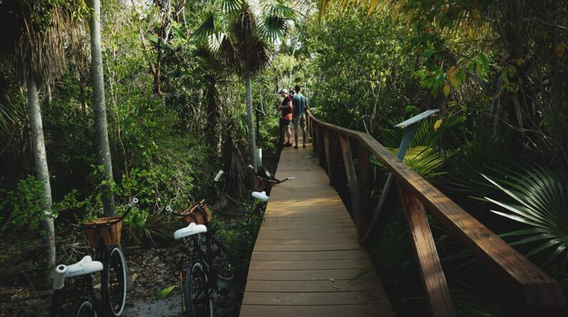 Photo Gym Aventura Florida