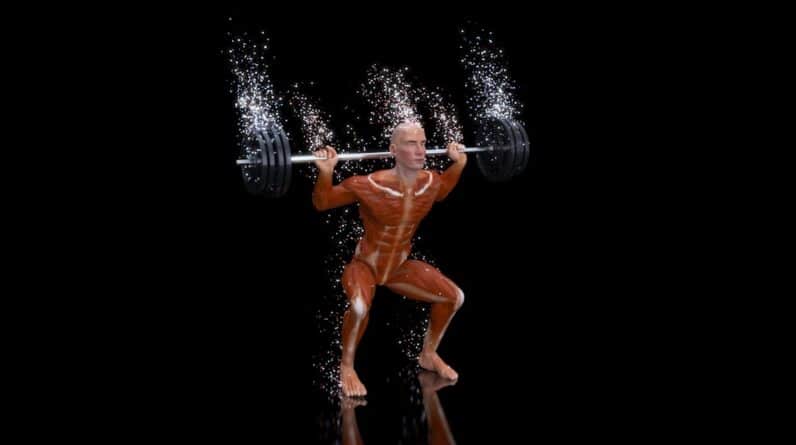 Photo Muscle Gym
