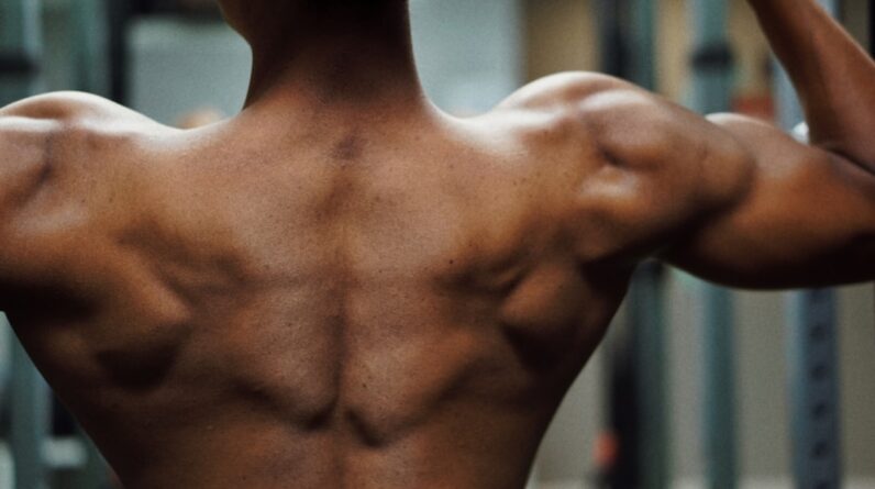 Photo Muscle Gym