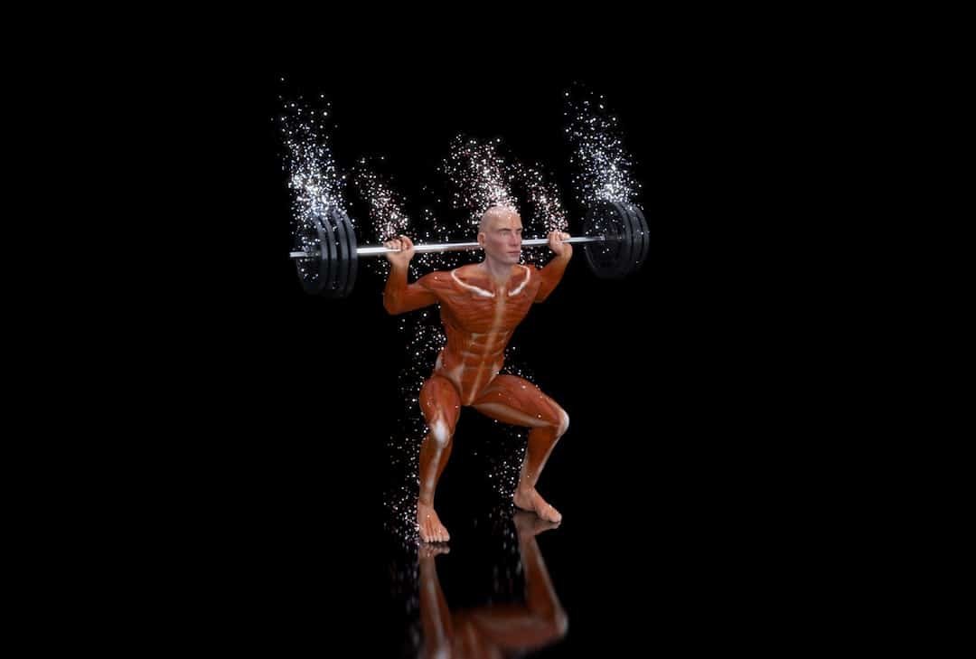 Photo Muscle Gym