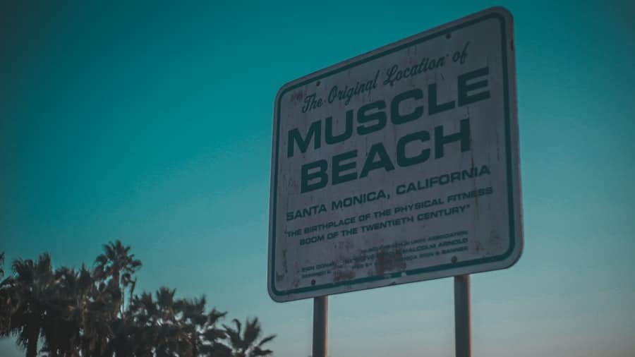 Muscle Gym Chandler Az