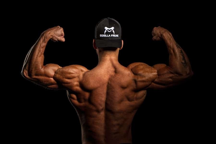 Best Muscle Gym Chandler Az 2 Muscle Gym Chandler Az