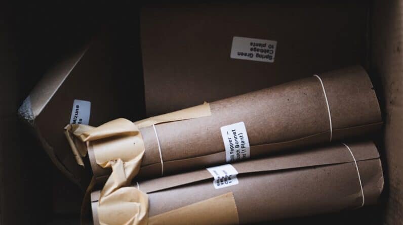 Photo Crossfit Packages