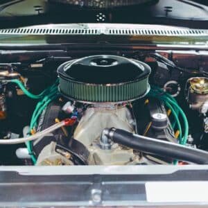 Photo Build Muscle