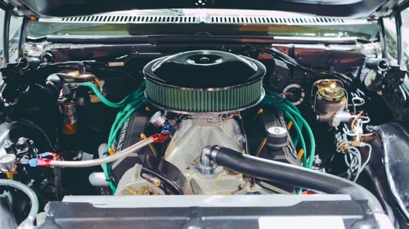 Photo Build Muscle