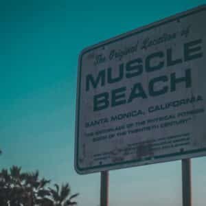 Photo Muscle Gym Chandler Az